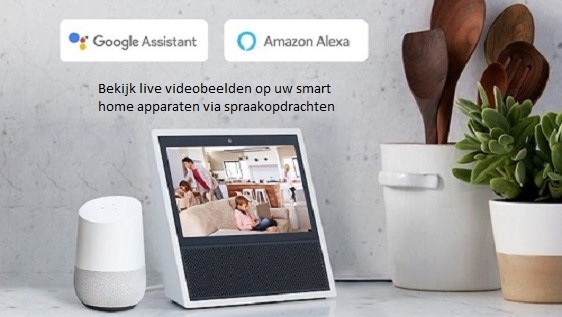 Google Assistant